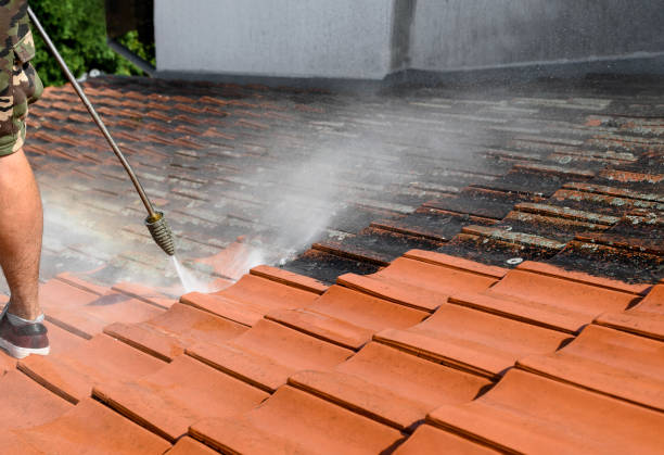 Ave Maria, FL Pressure Washing Pros