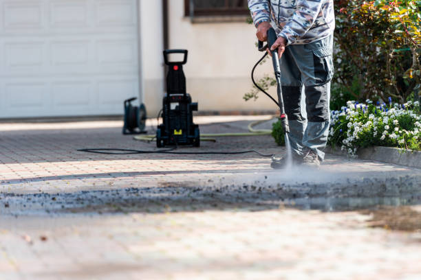 Best House Pressure Washing  in Ave Maria, FL
