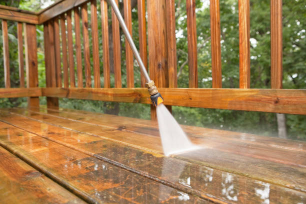Best Roof Power Washing Services  in Ave Maria, FL