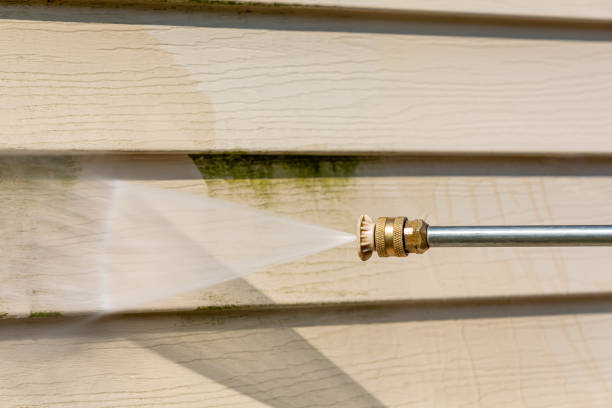 Best Residential Pressure Washing Services  in Ave Maria, FL