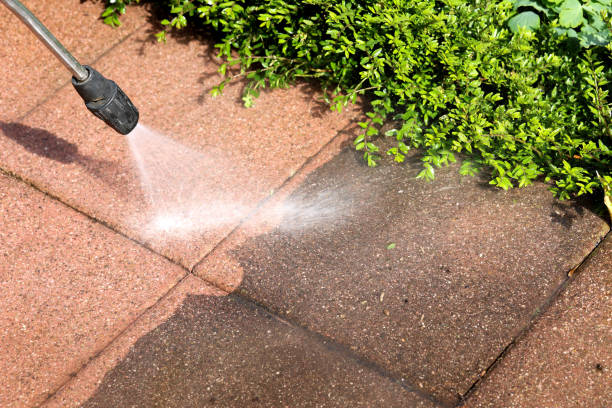Best Affordable Power Washing  in Ave Maria, FL